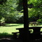Picnic at Lyndon B. Johnson Job Corps Center