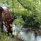 Water Wheel on Wayah Creek