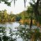 Alabama River through the trees