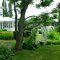 Brewster Inn. Part of the 2 acres of  gardens