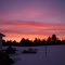 backyard Maine