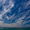 Martha's Sky