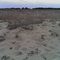 View on beach and dunes near Whistler's Point at Chappaquiddick Beach