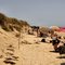 Must See The Famous Beaches on The Vineyard