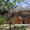 Old New Haven RR Trestle