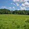 Hickory Creek Preserve in June, facing south