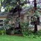 Overgrown trees