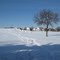 Arrowhead Park 4