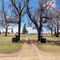 Greenwood Cemetery