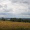 Cayuga Lake from Great Gully Rd.