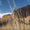 GrnadCanyon Sunlight