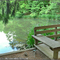 Plumb Creek North Park Pond