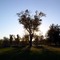Ed Bales Park, Saint Charles, MO
