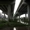 Trio of bridges