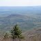 Little Round Top from Escarpment Trail