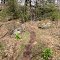 Escarpment Trail