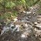 Batavia Kill Upstream from Trail Bridge
