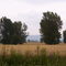 Field Along 'Chemin des Lots', "the Pits"