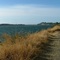 Der Siuslaw River