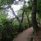 Der Weg zum Strand