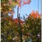 Automne Ste-Madeleine