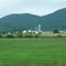 Dairy Farm