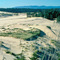 Oregon Dunes