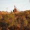 Old mine(1)