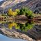 Reflection circle