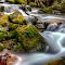 Mossy Creek