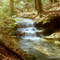 Little Stream Running to Bear Creek Lake