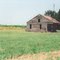abandoned Creole cottage, Salsburg La (8-10-2000) scanned 35mm