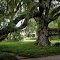 USA - Louisiana - Ashland-Belle Helene Plantation (2000)