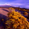 Mt. Shasta