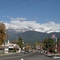 Shasta