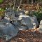 LBL Rock Formations on shoreline @ end of Fd 155