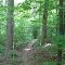 Lake Barkley - Wilderness Trail