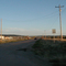 Horses on a Country Road