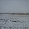 Snow in the Spring
