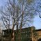 Brukner Nature Center