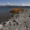 Eagle Lake - Pelican Point