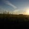 Manteca's Backyard