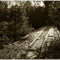 Wooden Bridge near Lecompte, LA