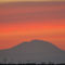 Sunnyside Sunset