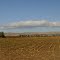 Farming Town