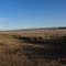 Sunnyside wildlife area