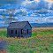 Bear Valley Shack