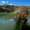 San Juan River along Hwy 173
