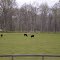Rural Saint Clair County