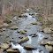 Locust Fork Creek